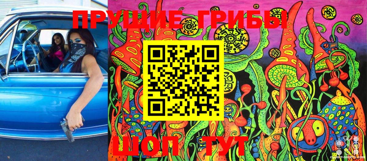 Псилоцибиновые грибы прущие грибы  Вход с VPN  Малоярославец 