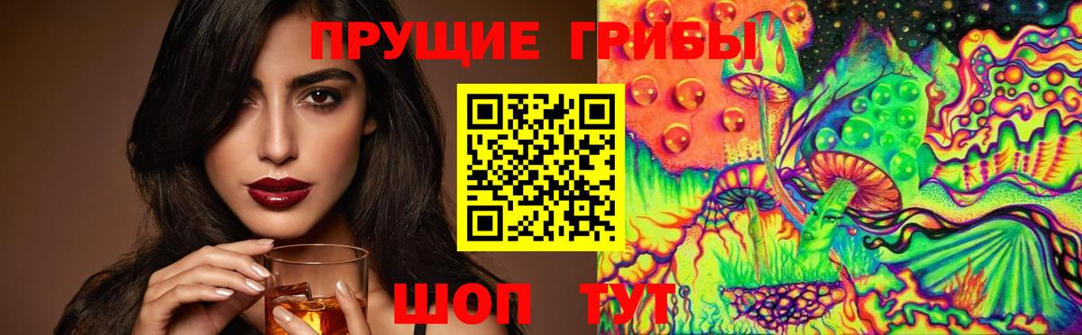 Псилоцибиновые грибы прущие грибы Малоярославец